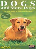 Dogs and more Dogs (DVD, 2004)