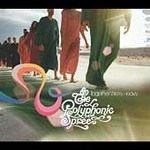 Together We're Heavy [CD & DVD] by Polyphonic Spree (The) (CD, Jul-2004, Hollywood Records)