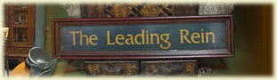 Leading Rein