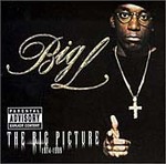 The Big Picture [PA] by Big L (CD, Jun-2002, Rawkus Records)