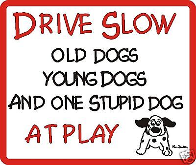 Drive Slow Stupid Dog Sign - Many ...