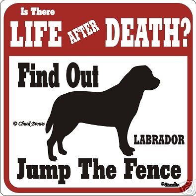 Labrador Funny Warning Dog Sign - Many ...