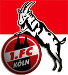 pcmolte